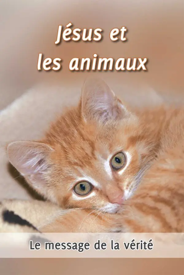 Jésus et les animaux - Amour et respect envers toutes les créatures 