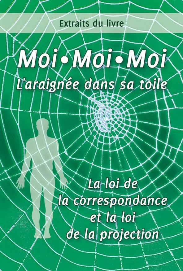 Moi, Moi, Moi, l'araignée dans sa toile