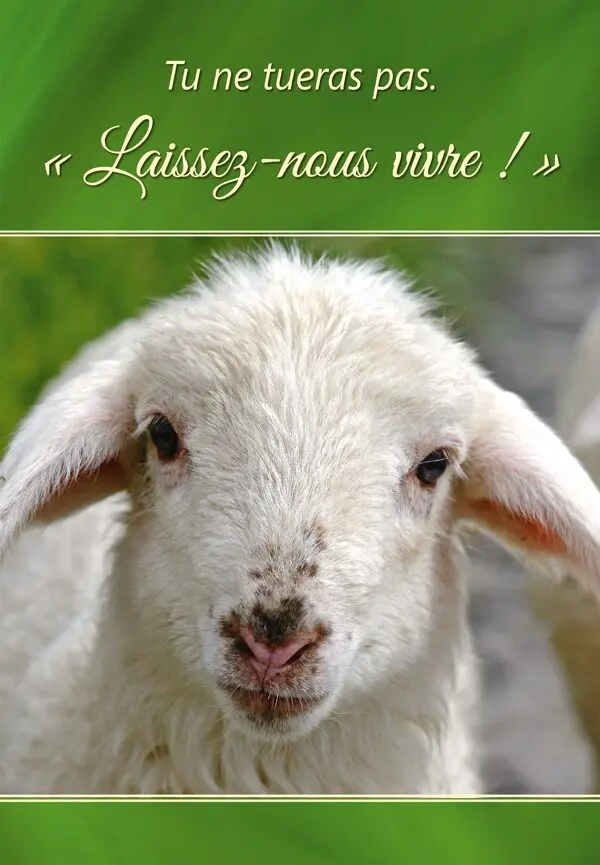 Tu ne tueras pas - Laissez-nous vivre !