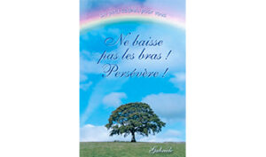 Ne baisse pas les bras ! Persévère !