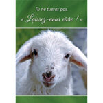 Tu ne tueras pas - Laissez-nous vivre !