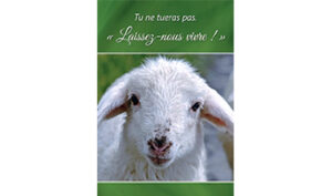 Tu ne tueras pas - Laissez-nous vivre !